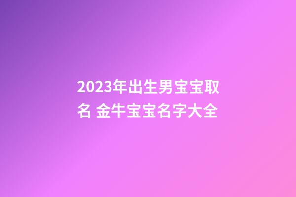2023年出生男宝宝取名 金牛宝宝名字大全